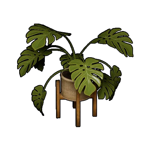 观叶植物套装